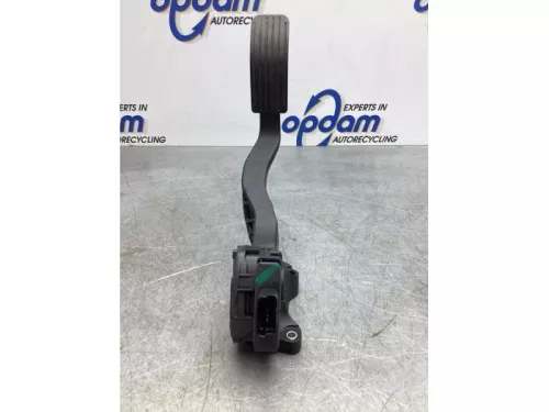 Gaspedaalpositie Sensor-7745318 (18029084)
