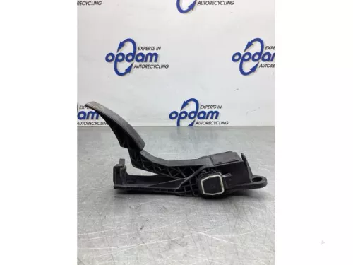 Gaspedaalpositie Sensor-7319858 (20882038)
