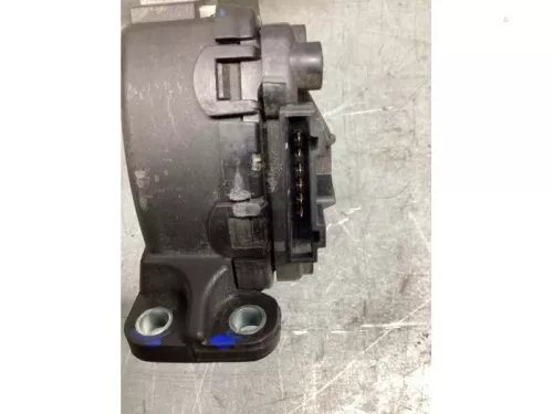 Gaspedaalpositie Sensor-8167889 (20501619)