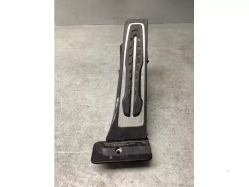 Gaspedaalpositie Sensor-8144350 (21672624)