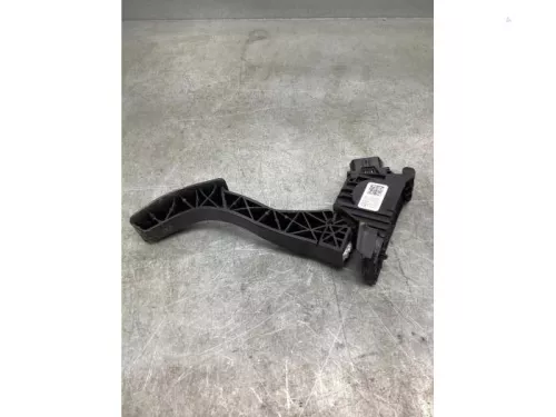 Gaspedaalpositie Sensor-8095361 (20260559)