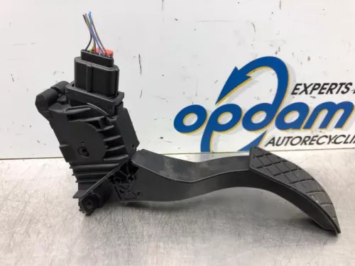 Gaspedaalpositie Sensor-6747991