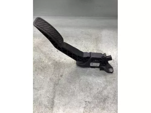 Gaspedaalpositie Sensor-7934565 (19009731)