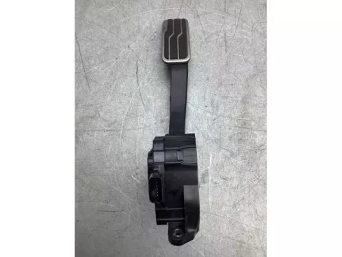 Gaspedaalpositie Sensor-3646767 (20058075)