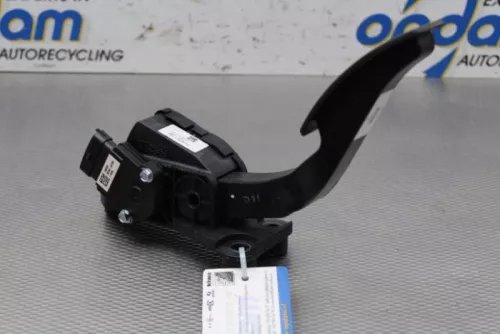 Gaspedaalpositie Sensor-7609063 (16133670)