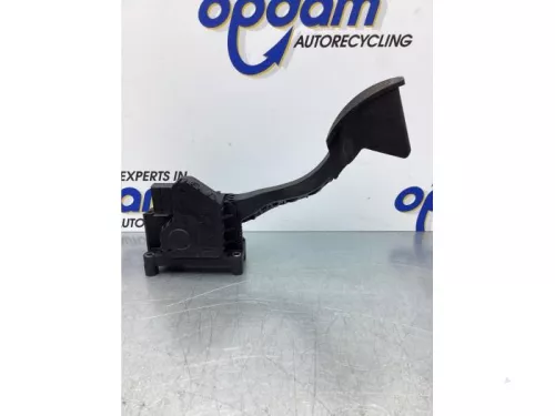 Gaspedaalpositie Sensor-7524883 (17179480)