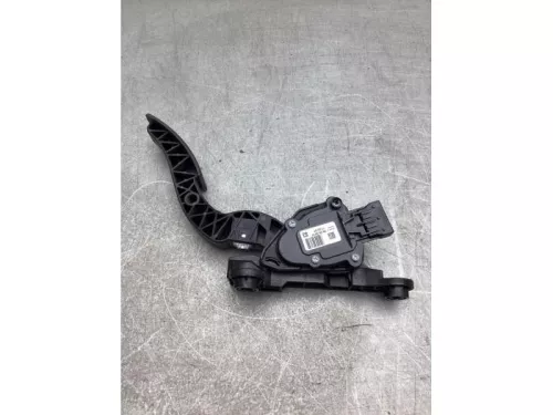 Gaspedaalpositie Sensor-8125529 (20256592)