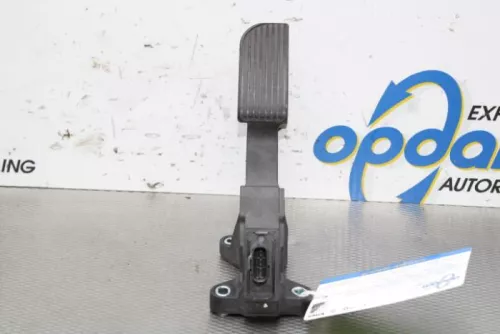 Gaspedaalpositie Sensor-7740611 (15859045)