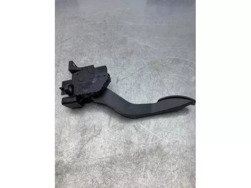 Gaspedaalpositie Sensor-7717666