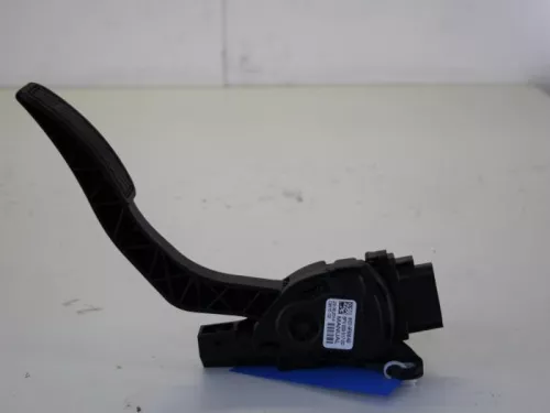 Gaspedaalpositie Sensor-7885241 (7827924)