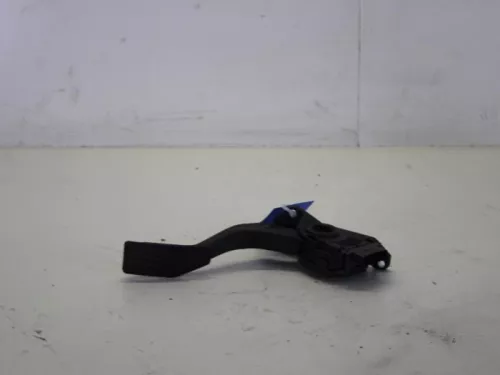 Gaspedaalpositie Sensor-7618696 (7447522)