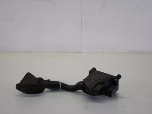 Gaspedaalpositie Sensor-7884868 (8161452)
