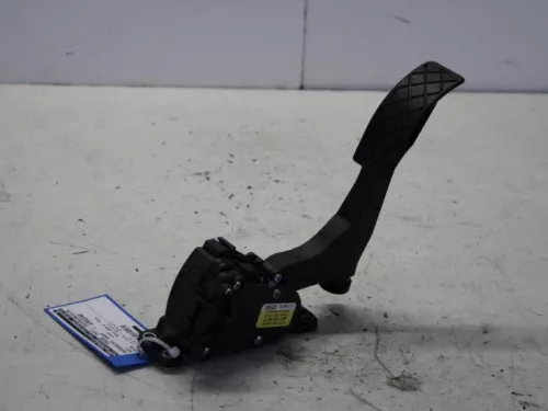Gaspedaalpositie Sensor-7881075 (11070676)