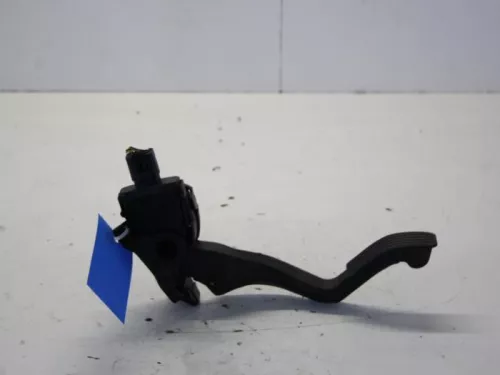 Gaspedaalpositie Sensor-7885451 (10456953)
