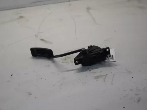 Gaspedaalpositie Sensor-7879807 (12029708)