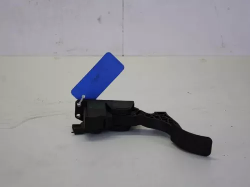 Gaspedaalpositie Sensor-7893066