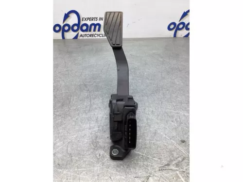 Gaspedaalpositie Sensor-8038200 (18771306)