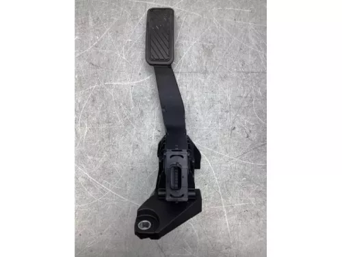 Gaspedaalpositie Sensor-8110718 (20028294)