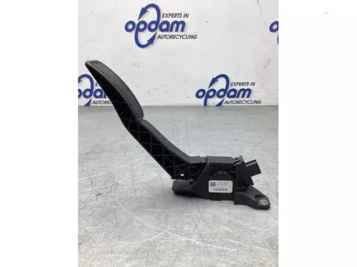 Gaspedaalpositie Sensor-8110718 (20028294)