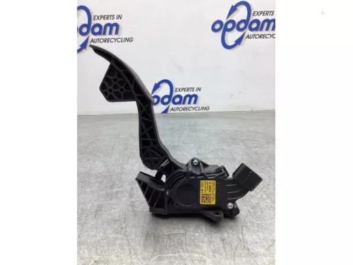 Gaspedaalpositie Sensor-8050375 (19314597)