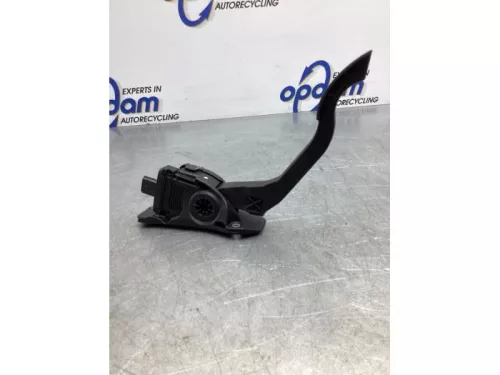 Gaspedaalpositie Sensor-7874489 (17432047)