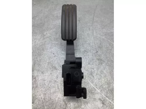 Gaspedaalpositie Sensor-7862997 (17531507)