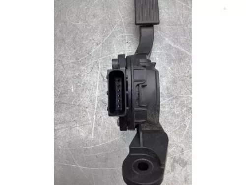 Gaspedaalpositie Sensor-8055054 (20955113)