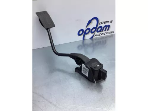 Gaspedaalpositie Sensor-6921054 (16941440)