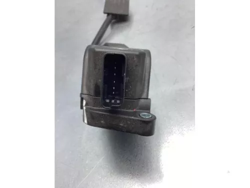 Gaspedaalpositie Sensor-6921054 (16941440)