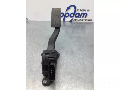 Gaspedaalpositie Sensor-7610031 (17103856)