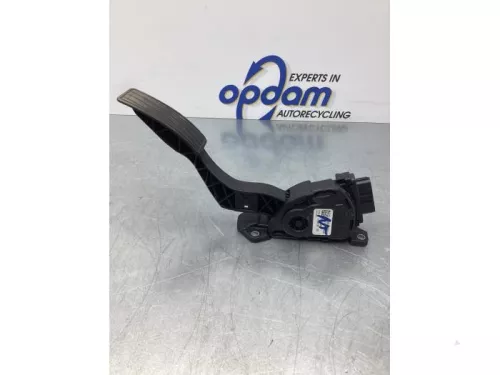 Gaspedaalpositie Sensor-7610031 (17103856)
