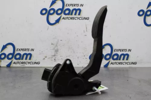 Gaspedaalpositie Sensor-7613839 (16759683)