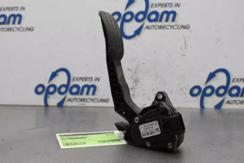Gaspedaalpositie Sensor-7613839