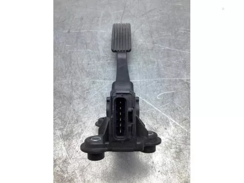 Gaspedaalpositie Sensor-7845112 (17441578)