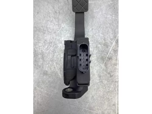 Gaspedaalpositie Sensor-6219815 (17613726)