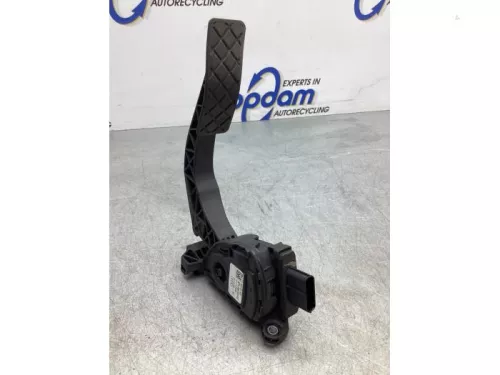 Gaspedaalpositie Sensor-6219815 (17613726)