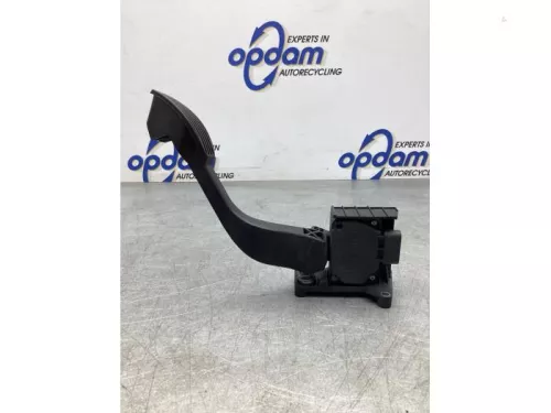 Gaspedaalpositie Sensor-7921381 (17876550)