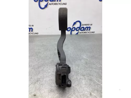 Gaspedaalpositie Sensor-7716367 (18787059)