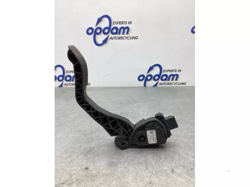 Gaspedaalpositie Sensor-7716367 (18787059)