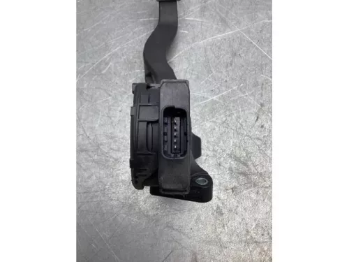 Gaspedaalpositie Sensor-7348839 (17356901)