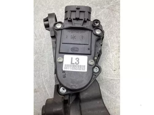 Gaspedaalpositie Sensor-7940740 (19891899)