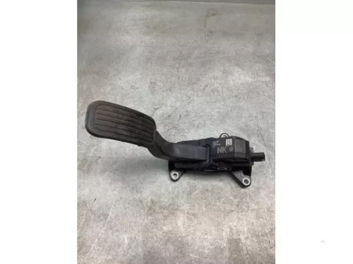 Gaspedaalpositie Sensor-8175775 (20844447)