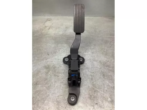 Gaspedaalpositie Sensor-8077815 (20095506)