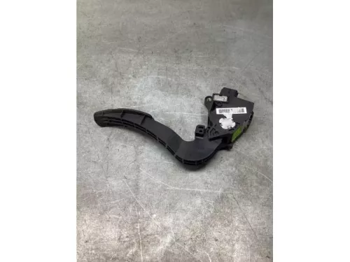 Gaspedaalpositie Sensor-8061327