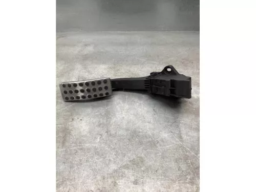 Gaspedaalpositie Sensor-8055168 (19618384)