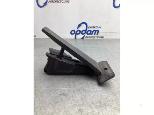 Gaspedaalpositie Sensor-8122800 (20004445)