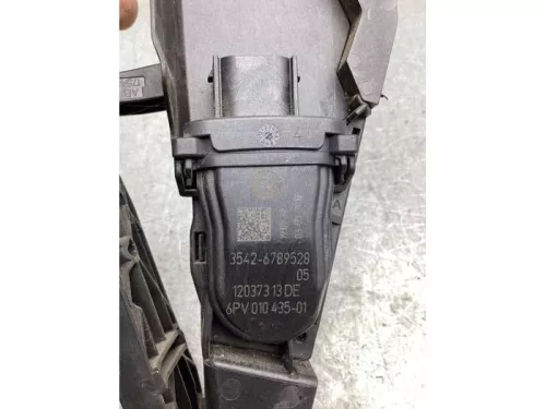 Gaspedaalpositie Sensor-8122800 (20004445)