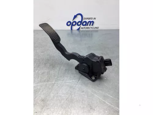 Gaspedaalpositie Sensor-7860166 (17346250)