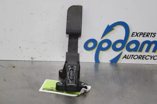 Gaspedaalpositie Sensor-7591547 (15651381)