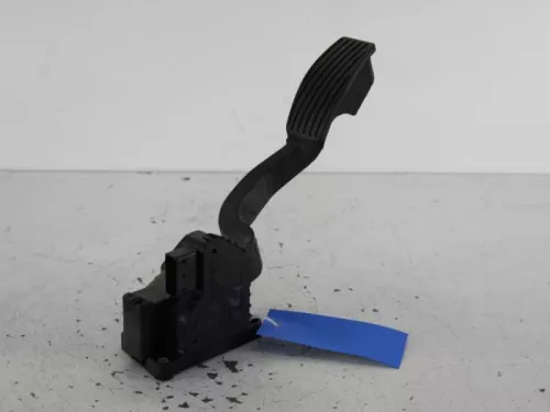 Gaspedaalpositie Sensor- (6589668)